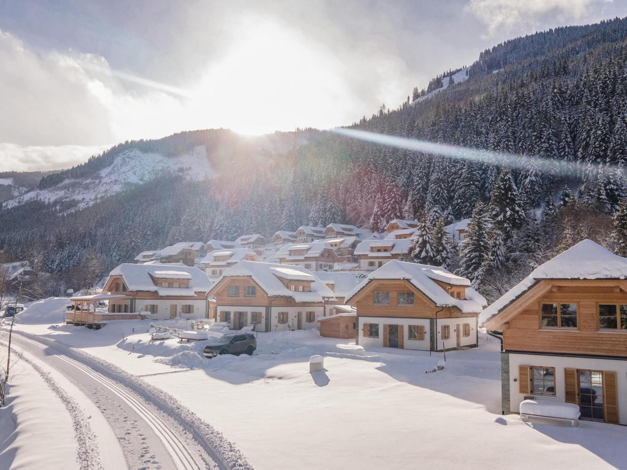 Riesner Alm 35 Villa Donnersbachwald Dış mekan fotoğraf